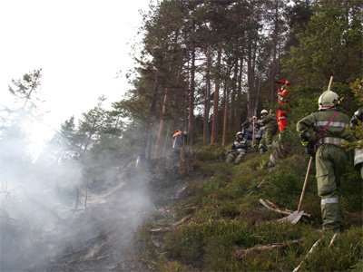 waldbrand-grins22.jpg