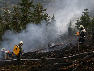 waldbrand-grins29.jpg