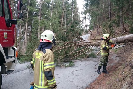 Sturmschaden - Tramser Straße durch Baum gesperrt