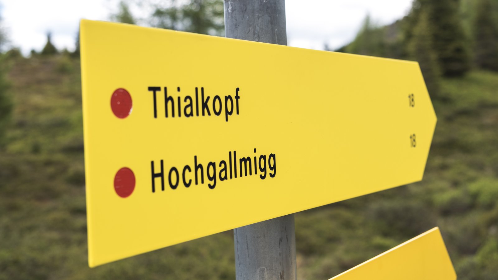 (c) Feuerwehr Landeck, 2026 (43).jpg
