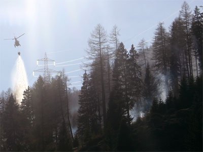 waldbrand-pfunds2.jpg