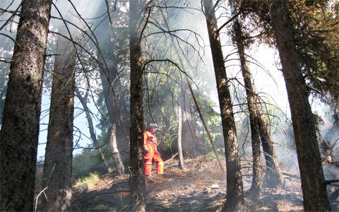 waldbrand-pians13.jpg