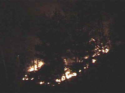 Waldbrand in Landeck / Ortsteil Perjen
