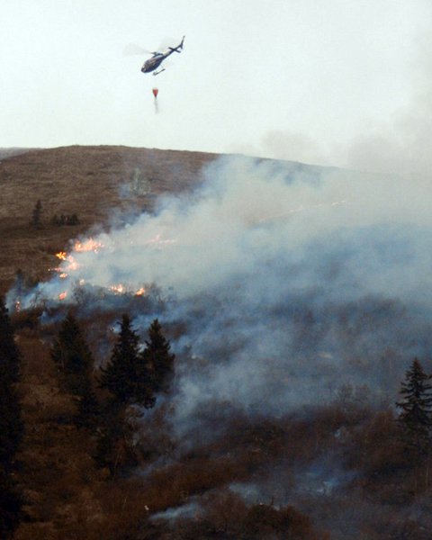 waldbrand-galtuer-zoom-tirol4.jpg