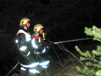waldbrand-perjen2.jpg