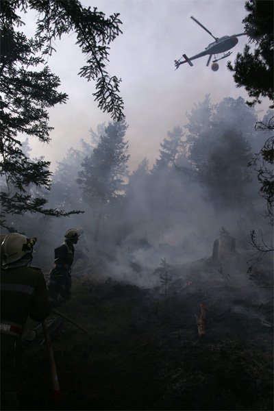 Waldbrand oberhalb von Grins