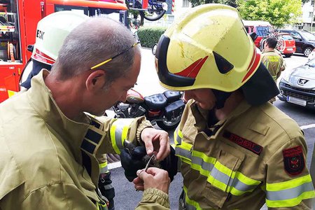 Feuerwehr rettete eine im Nest gefangene Schwalbe