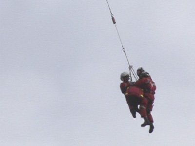 waldbrand-grins15.jpg