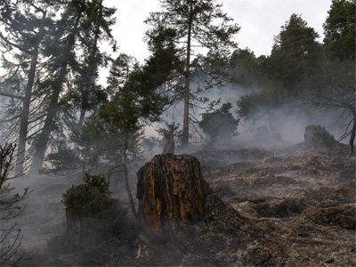 Waldbrand oberhalb von Grins