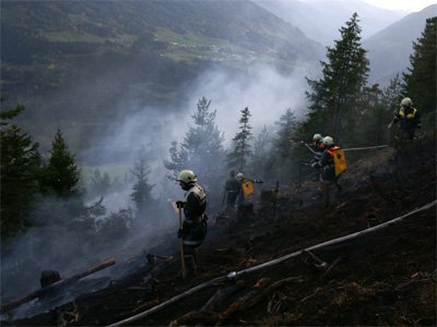 waldbrand-grins23.jpg