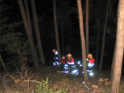 Waldbrand in Landeck / Ortsteil Perjen