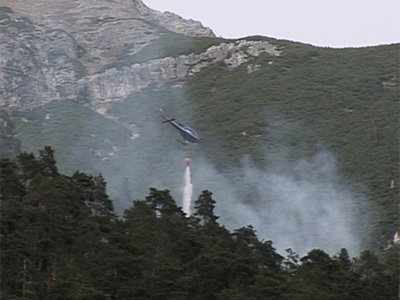 waldbrand-grins11.jpg
