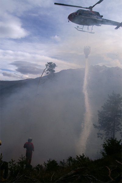 waldbrand-grins31.jpg